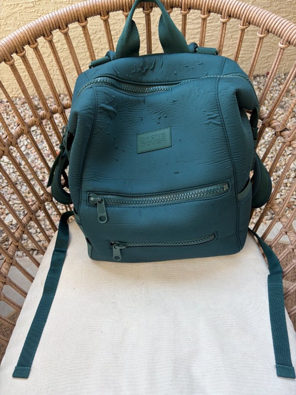 LARGE Dagne Dover Diaper Bag Backpack